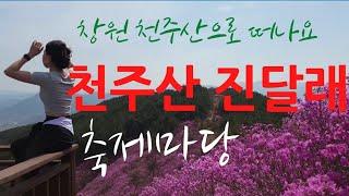 경남 창원 천주산 진달래 축제마당