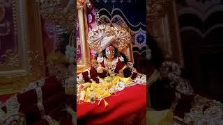 Sunri yasoda maiya#lado gopal#thakur ji#radharani#short#Neelam Ki Bindass Life