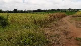 27 Acers land for sale,Shamirpet near to highway, please Contact Mohan @8919808440