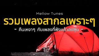 รวมเพลงสากลเพราะๆ คืนเหงาๆ กับเพลงที่ฟังแล้วอบอุ่น - By Mellow Tunes