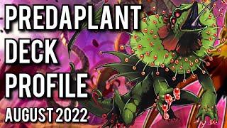 1ST PLACE! Predaplant Deck Profile! AUGUST 2022!