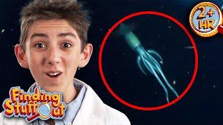 Do Sea Monsters Really Exist? | Discovering The Deep Ocean Secrets | Finding Stuff Out | 9 Story Fun