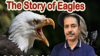 The king of sky I The story of eagles I amazing fact about the eagle I Documentary of eagle