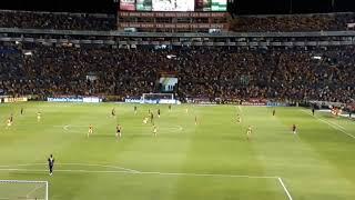 Tigres vs Veracruz 4-0 "Todos los goles en vivo" - Apertura 2018