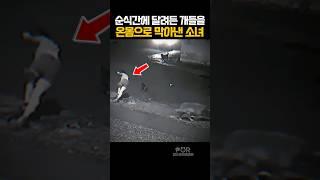 위기에 처한 반려견을 지킨 소녀 #동물 #강아지