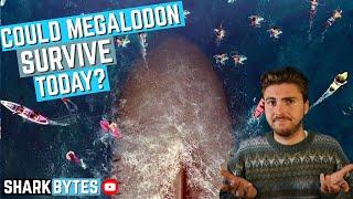 Could Megalodon SURVIVE In Today's Ocean?