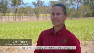 RP161: Improving farm practices in Central Queensland