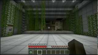 An Experiment Gone Right / Minecraft Teleporter