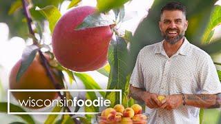 Peaches | Tree Ripe Fruit Co. | Pearson Farms