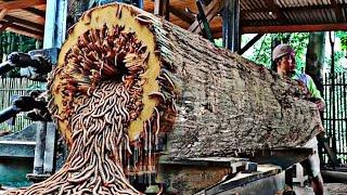 Amazing discovery of old teak log full of beautiful grain at sawmill