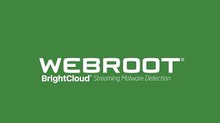 BrightCloud® Streaming Malware Detection for Technology Partners | Webroot