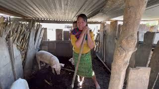 El trabajo de una mujer que vive en extrema pobreza | Yadira