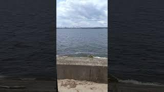 Київське море #море #київ #літо #вода #заздрість