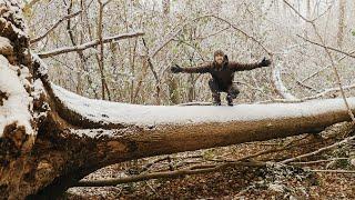 Winter Bushcraft Projects: Big Ash Tree | Snow | Saw Horse [EPISODE 1]