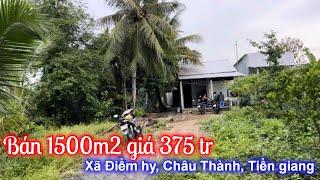 Tập 2219️Chủ nhà Kẹt tiền cắt đất ra bán 1500m2 giá 375tr ở Tiền giang