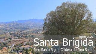 Pino Santo Bajo - Caldera de Pino Santo (agosto 2020)