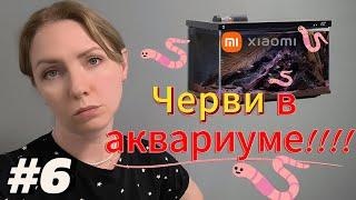 Купила умный аквариум Xiaomi. И  в нем завелись ЧЕРВИ!!!!