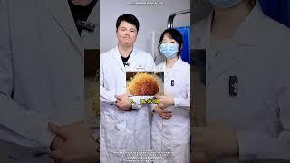 随手扔的“垃圾”，其实是名贵中药#中医 #养生 #医学科普 #健康科普  #涨知识