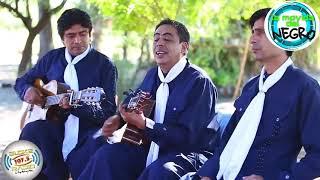Los Sacheros - Estrellita Mía - La Movida Del Negro Por Bloke Radio (Ema Suarez)