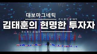 2025 06 14 대보마그네틱 나트륨배터리와 LFP배터리 투자수요 수혜주