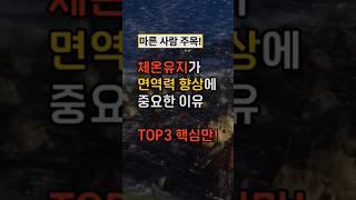 (마른 사람 주목) 체온유지 면역력 향상 TOP 3
