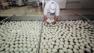 Amazing BREAD Processing - How It's Made Inside Factory