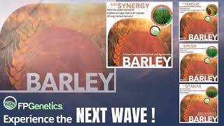 FP Genetics - NEXT WAVE Barely