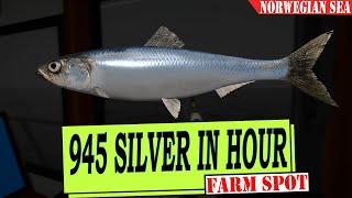 RF4 - Russian Fishing 4 - Atlantic herring - 945 silver in 1 hour - Silver Farm - Norwegian sea