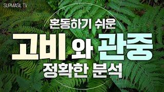 고비 관중 구별법 산림 임업 농업 약초 귀농 귀촌 약용식물 임업후계자 임산물 그루매니저 경북농민사관학교 약초방송 자연인  산림일자리 약초재배 산림경영 치유농업 독초 고사리 양치식물