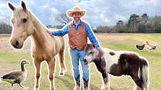 Tour the Farm and Meet Animals | Cowboy Jack