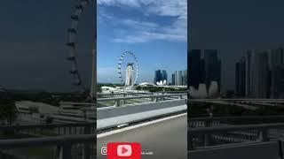 #Singapore Trip#shorts #The Negi Family Vlog