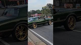 Organic Green Monte Carlo SS on Brush Gold 24s