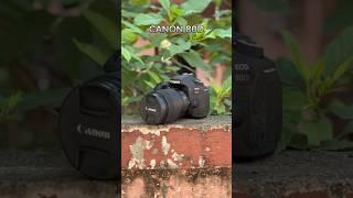 CALL - 9095566223  | Best Used Camera Shop | All India Delivery  | CANON 80D