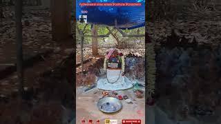 1000 lingam sivan temple|Poothurai |Pondicherry #pondicherry #puducherry #shorts #ytshorts #temple