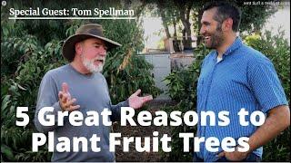 Why Should YOU Plant a Fruit Tree?? 5 Top Reasons!! | W/Guest Tom Spellman - Dave Wilson Nursery