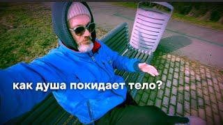 Что скрывается за циклом перерождений?