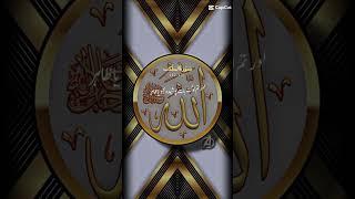 Quran short ayat in Urdu translate tarjuma New (17) #viralvideo #islamicchanne#love #lslamic #lslmic