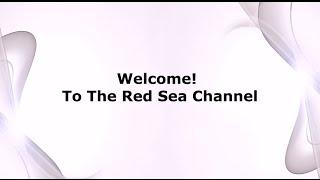 RSC Beta Mode Teaser