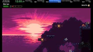 (WR) The Messenger - Picnic Panic DLC speedrun in 18:16