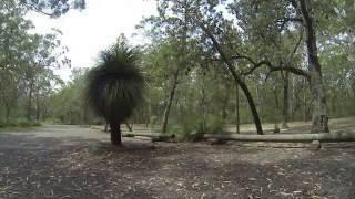 Boomeri Camp Area, Myall Lake National Park, Near Tea Gardens, NSW