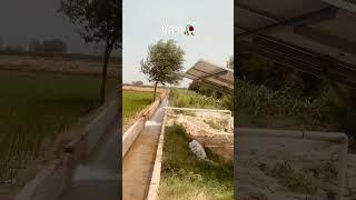 #shorts #punjabilife #punjabi #farming #trending#viralvideo