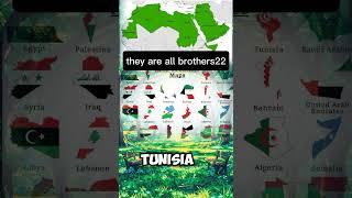 arab league #africa&asia