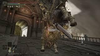 Golden Retaliation + Lion's Claw No Hit w/ Draconic Tree Sentinel