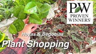 New Hoyas at the Home Depot | Plant Shopping Local Big Box Store 🪴