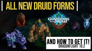 New 10.2 Druid Forms |  Guardians of the Dream Druid Forms Guide | Get new druid forms Fast & Easy