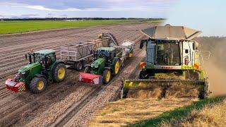 1 Year on a New Zealand Crop Farm | Webster Farming