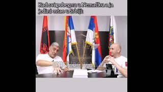 Selidba u Nemačku (Miroljub mim #4)