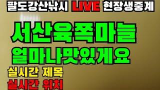 생음악 공짜 시청해유 서산육쪽마늘 마늘먹고 환생해유 팔도강산낚시