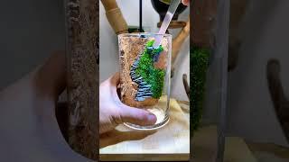 tiểu cảnh đẹp trong chiếc cốc nhỏ #shorts