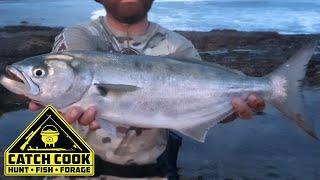 Targeting Kob but landing a bus of a shad (Elf) at East London, South Africa | CATCH COOK